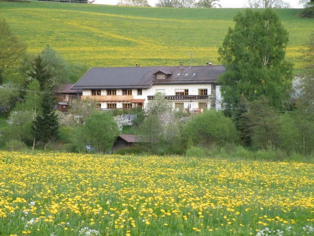 Pension Landhaus Riedelstein Drachselsried Ngoại thất bức ảnh
