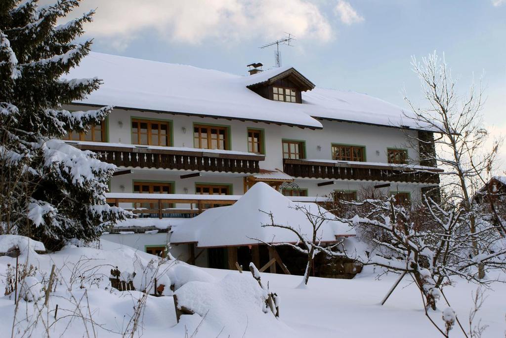 Pension Landhaus Riedelstein Drachselsried Ngoại thất bức ảnh